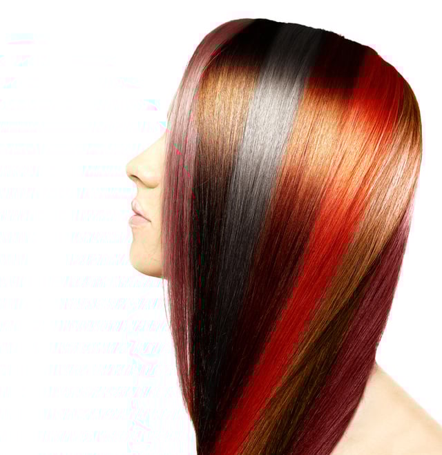 Multicolored hair..Concept Coloring Hair